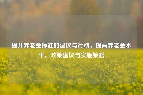 提升养老金标准的建议与行动，提高养老金水平，政策建议与实施策略