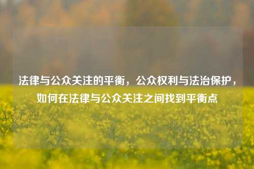 法律与公众关注的平衡，公众权利与法治保护，如何在法律与公众关注之间找到平衡点
