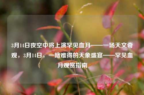 3月14日夜空中将上演罕见血月——一场天文奇观，3月14日，一睹难得的天象盛宴——罕见血月观赏指南