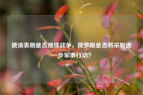 俄须表明是否继续战争，俄罗斯是否将采取进一步军事行动？