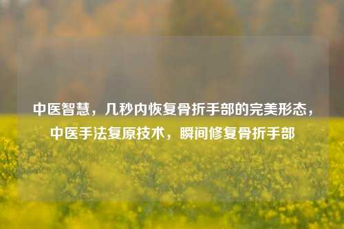 中医智慧，几秒内恢复骨折手部的完美形态，中医手法复原技术，瞬间修复骨折手部