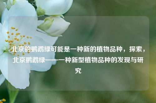 北京的鹦鹉绿可能是一种新的植物品种，探索，北京鹦鹉绿——一种新型植物品种的发现与研究