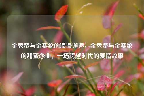 金秀贤与金赛纶的浪漫邂逅，金秀贤与金赛纶的甜蜜恋曲，一场跨越时代的爱情故事