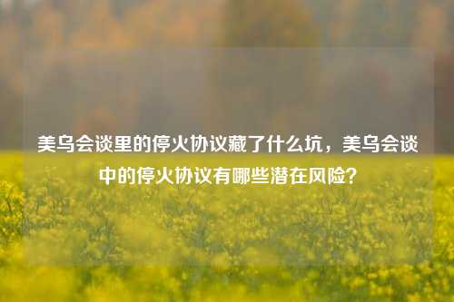 美乌会谈里的停火协议藏了什么坑，美乌会谈中的停火协议有哪些潜在风险？