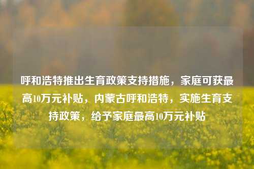 呼和浩特推出生育政策支持措施，家庭可获最高10万元补贴，内蒙古呼和浩特，实施生育支持政策，给予家庭最高10万元补贴