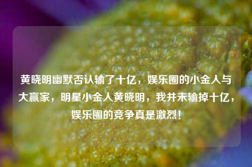 黄晓明幽默否认输了十亿，娱乐圈的小金人与大赢家，明星小金人黄晓明，我并未输掉十亿，娱乐圈的竞争真是激烈！