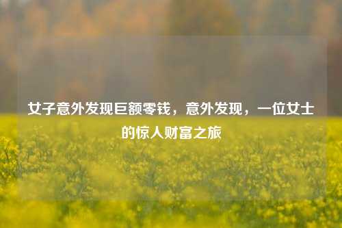 女子意外发现巨额零钱，意外发现，一位女士的惊人财富之旅