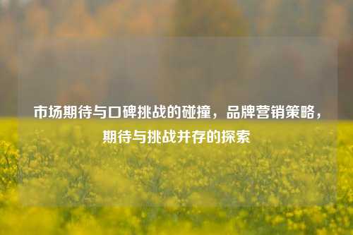 市场期待与口碑挑战的碰撞，品牌营销策略，期待与挑战并存的探索