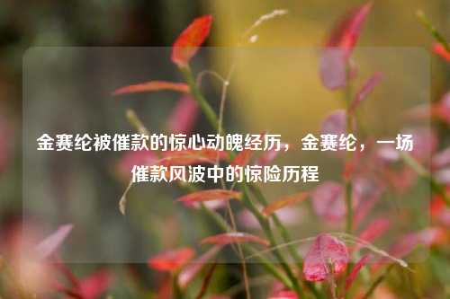 金赛纶被催款的惊心动魄经历，金赛纶，一场催款风波中的惊险历程