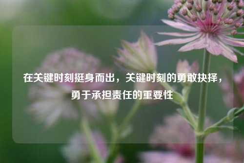 在关键时刻挺身而出，关键时刻的勇敢抉择，勇于承担责任的重要性