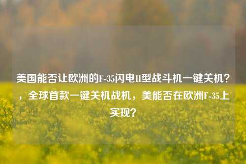 美国能否让欧洲的F-35闪电II型战斗机一键关机？，全球首款一键关机战机，美能否在欧洲F-35上实现？