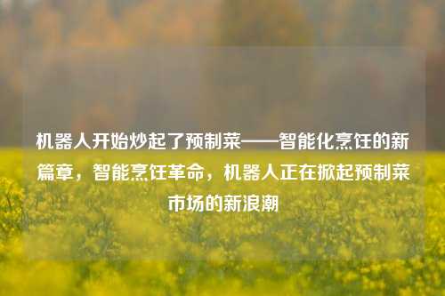 机器人开始炒起了预制菜——智能化烹饪的新篇章，智能烹饪革命，机器人正在掀起预制菜市场的新浪潮