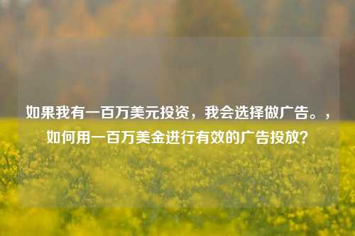 如果我有一百万美元投资，我会选择做广告。，如何用一百万美金进行有效的广告投放？
