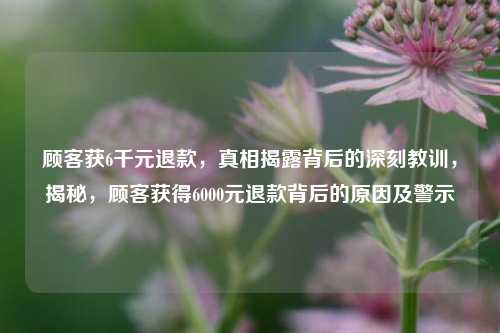 顾客获6千元退款，真相揭露背后的深刻教训，揭秘，顾客获得6000元退款背后的原因及警示