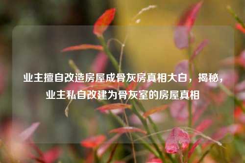 业主擅自改造房屋成骨灰房真相大白，揭秘，业主私自改建为骨灰室的房屋真相