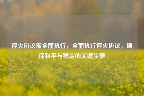 停火协议需全面执行，全面执行停火协议，确保和平与稳定的关键步骤