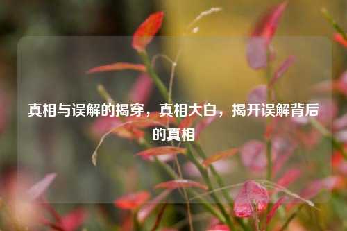 真相与误解的揭穿，真相大白，揭开误解背后的真相