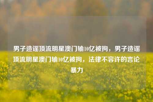 男子造谣顶流明星澳门输10亿被拘，男子造谣顶流明星澳门输10亿被拘，法律不容许的言论暴力
