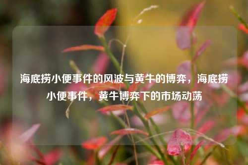 海底捞小便事件的风波与黄牛的博弈，海底捞小便事件，黄牛博弈下的市场动荡