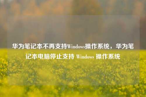 华为笔记本不再支持Windows操作系统，华为笔记本电脑停止支持 Windows 操作系统