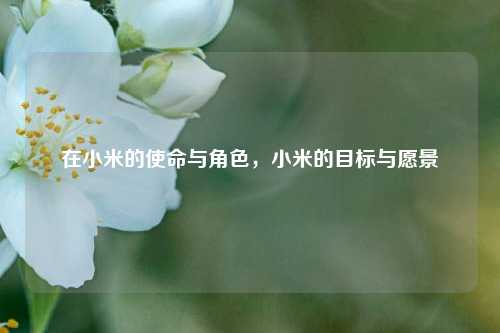 在小米的使命与角色，小米的目标与愿景
