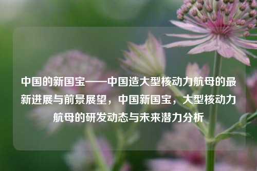 中国的新国宝——中国造大型核动力航母的最新进展与前景展望，中国新国宝，大型核动力航母的研发动态与未来潜力分析