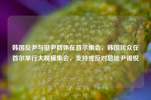 韩国反尹与挺尹群体在首尔集会，韩国民众在首尔举行大规模集会，支持或反对总统尹锡悦
