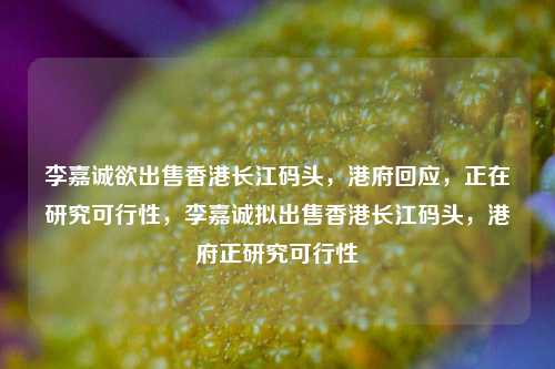 李嘉诚欲出售香港长江码头，港府回应，正在研究可行性，李嘉诚拟出售香港长江码头，港府正研究可行性