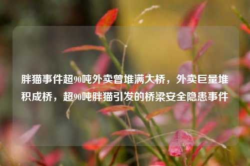 胖猫事件超90吨外卖曾堆满大桥，外卖巨量堆积成桥，超90吨胖猫引发的桥梁安全隐患事件