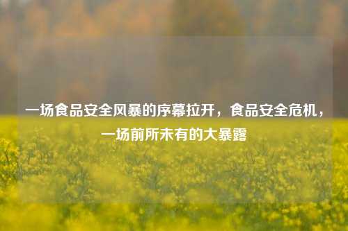 一场食品安全风暴的序幕拉开，食品安全危机，一场前所未有的大暴露