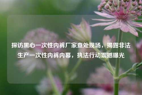 探访黑心一次性内裤厂家查处现场，揭露非法生产一次性内裤内幕，执法行动震撼曝光