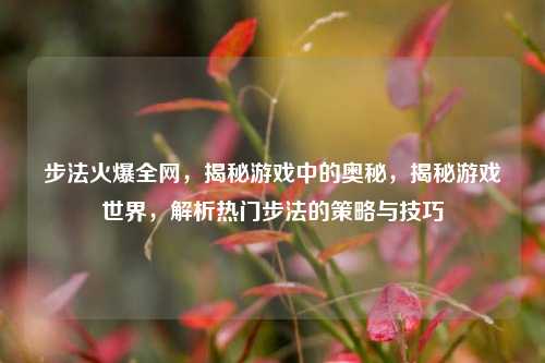步法火爆全网，揭秘游戏中的奥秘，揭秘游戏世界，解析热门步法的策略与技巧