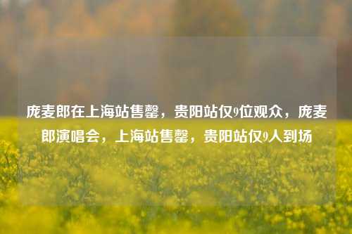 庞麦郎在上海站售罄，贵阳站仅9位观众，庞麦郎演唱会，上海站售罄，贵阳站仅9人到场