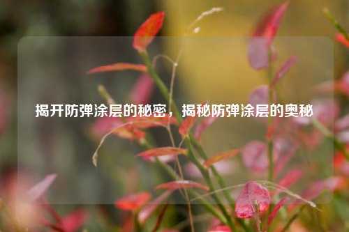 揭开防弹涂层的秘密，揭秘防弹涂层的奥秘