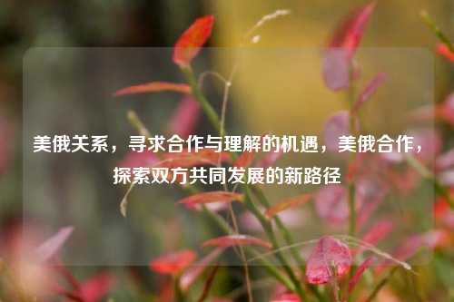 美俄关系，寻求合作与理解的机遇，美俄合作，探索双方共同发展的新路径
