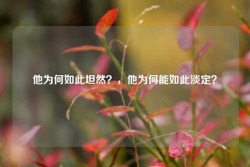 他为何如此坦然？，他为何能如此淡定？