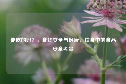 能吃的吗？，食物安全与健康，饮食中的食品安全考量