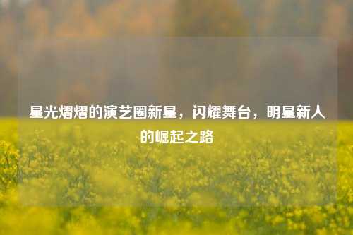 星光熠熠的演艺圈新星，闪耀舞台，明星新人的崛起之路