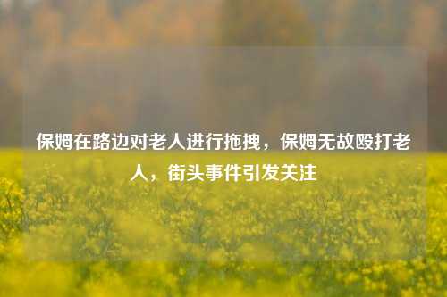 保姆在路边对老人进行拖拽，保姆无故殴打老人，街头事件引发关注