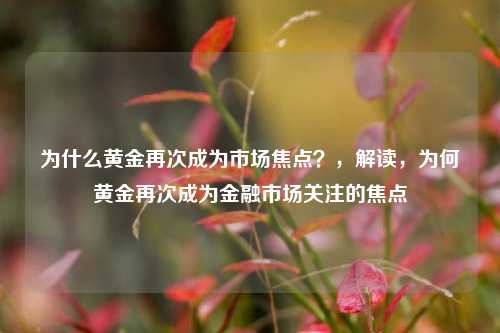 为什么黄金再次成为市场焦点？，解读，为何黄金再次成为金融市场关注的焦点