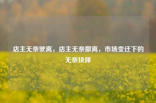 店主无奈驶离，店主无奈撤离，市场变迁下的无奈抉择