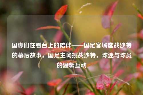 国脚们在看台上的陪伴——国足客场鏖战沙特的幕后故事，国足主场挑战沙特，球迷与球员的温馨互动