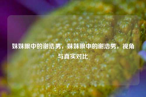 妹妹眼中的谢浩男，妹妹眼中的谢浩男，视角与真实对比