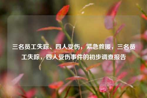 三名员工失踪、四人受伤，紧急救援，三名员工失踪，四人受伤事件的初步调查报告