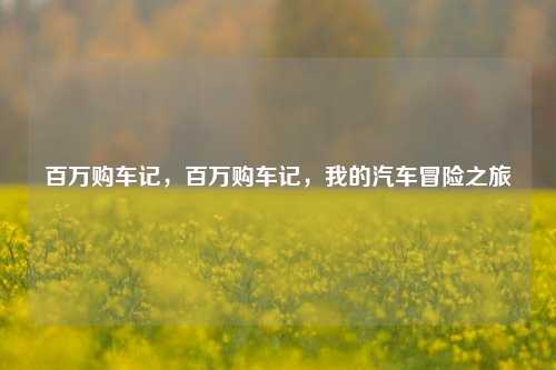 百万购车记，百万购车记，我的汽车冒险之旅