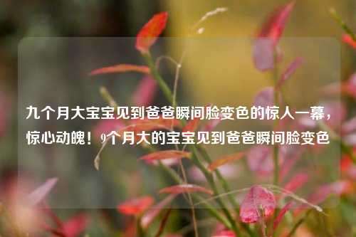 九个月大宝宝见到爸爸瞬间脸变色的惊人一幕，惊心动魄！9个月大的宝宝见到爸爸瞬间脸变色