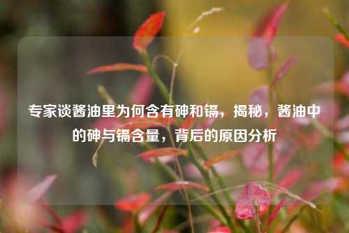 专家谈酱油里为何含有砷和镉，揭秘，酱油中的砷与镉含量，背后的原因分析