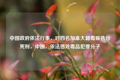 中国政府依法行事，对四名加拿大籍毒贩执行死刑，中国，依法惩处毒品犯罪分子