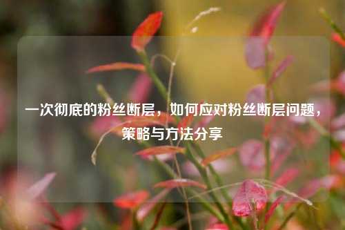一次彻底的粉丝断层，如何应对粉丝断层问题，策略与方法分享