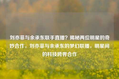 刘亦菲与余承东联手直播？揭秘两位明星的奇妙合作，刘亦菲与余承东的梦幻联播，明星间的科技跨界合作